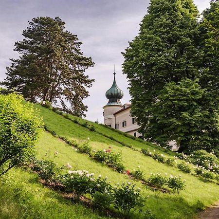 Urlaub In Schlossnaehe 阿特斯特坦 外观 照片
